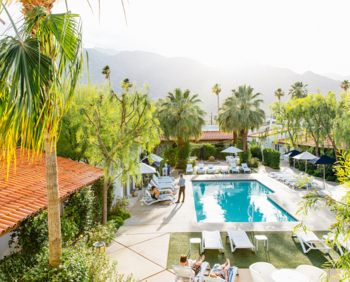 Palm trees surround the pool at Alcazar Palm Springs boutique hotel