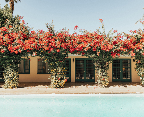 Pink Bougainvillea covering the building at Casa Cody boutique hotel in Palm Springs, California