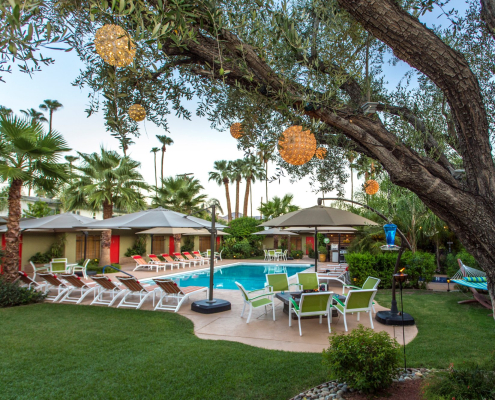 Lights dangle from a tree in front of the pool at the Desert Riviera mid-century modern boutique hotel in Palm Springs, California