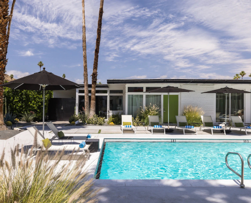 A side view of the pool at The Three Fifty Hotel with green plants and palms surrounding the courtyard