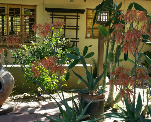 A piece of poetry next to orange flowers and green shrubbery outside at El Mirasol Villas in Palm Springs, California