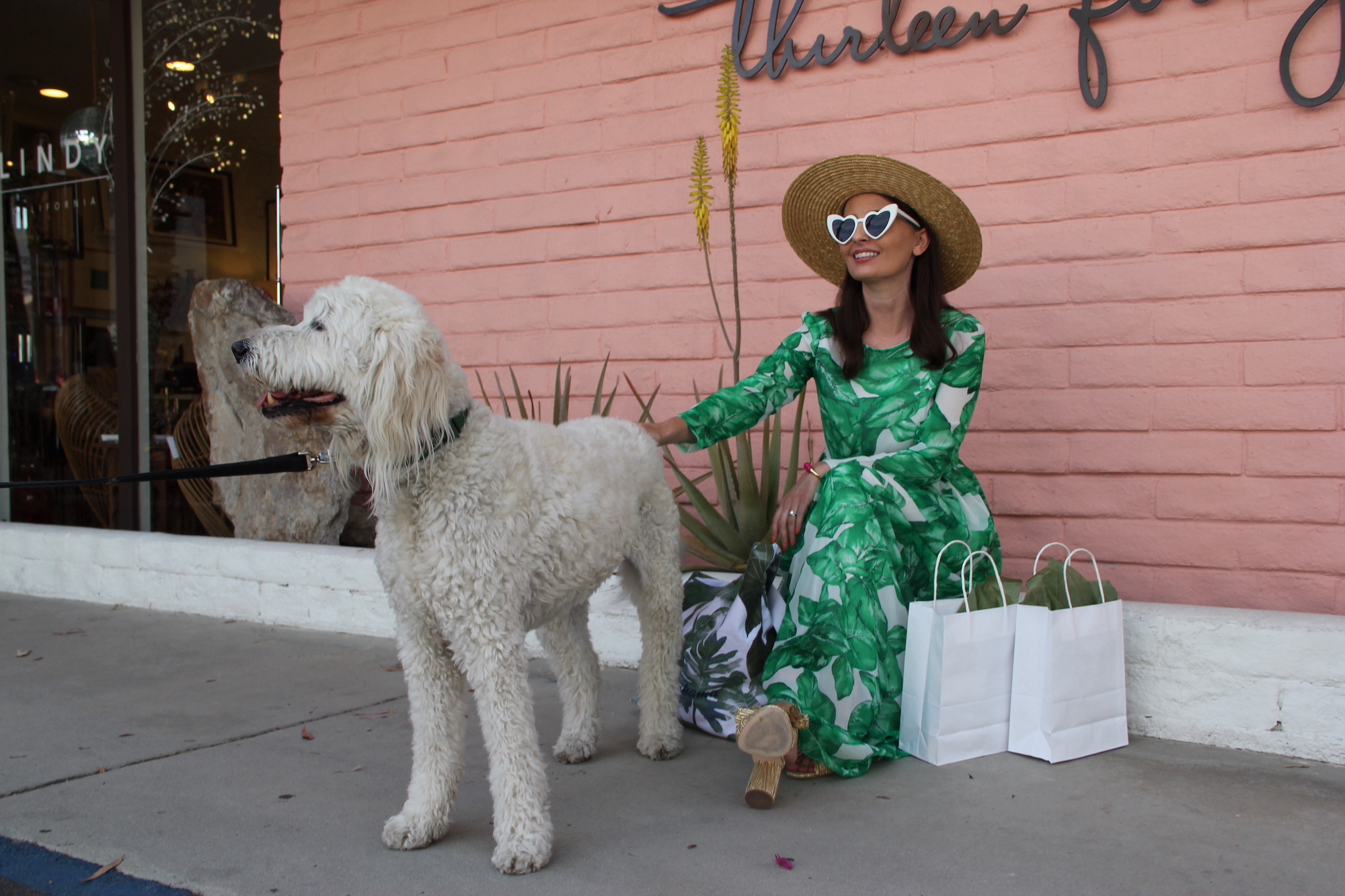 A woman wearing a green dress sits outside of a pink building in Palm Springs with a white dog