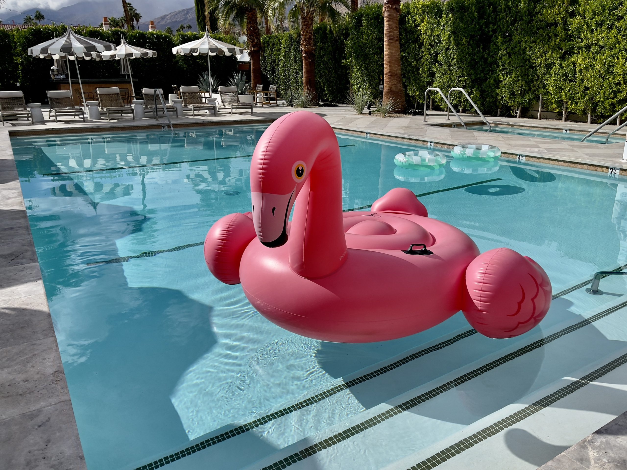 Baby, It’s Cold Inside: How To Beat The Palm Springs Heat