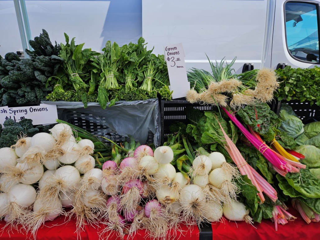 Fresh onions and greens grown at local farms for sale at the Certified Farmers Market at the Palm Springs Cultural Center