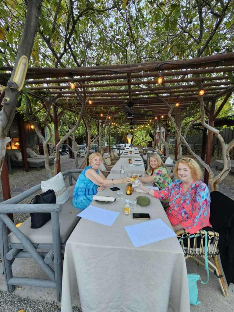 Three blonde women hold up their glasses to cheers at The Barn Kitchen's outdoor table