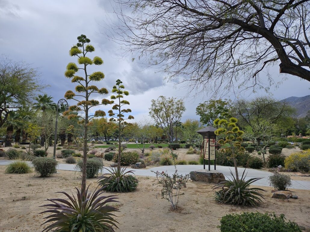 Desert Wellness Park Palm Springs