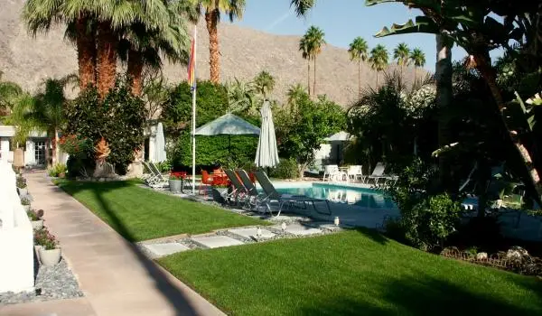 Steps in the Right Direction. Discovering what nature-lovers get so excited about with a visit to Palm Springs