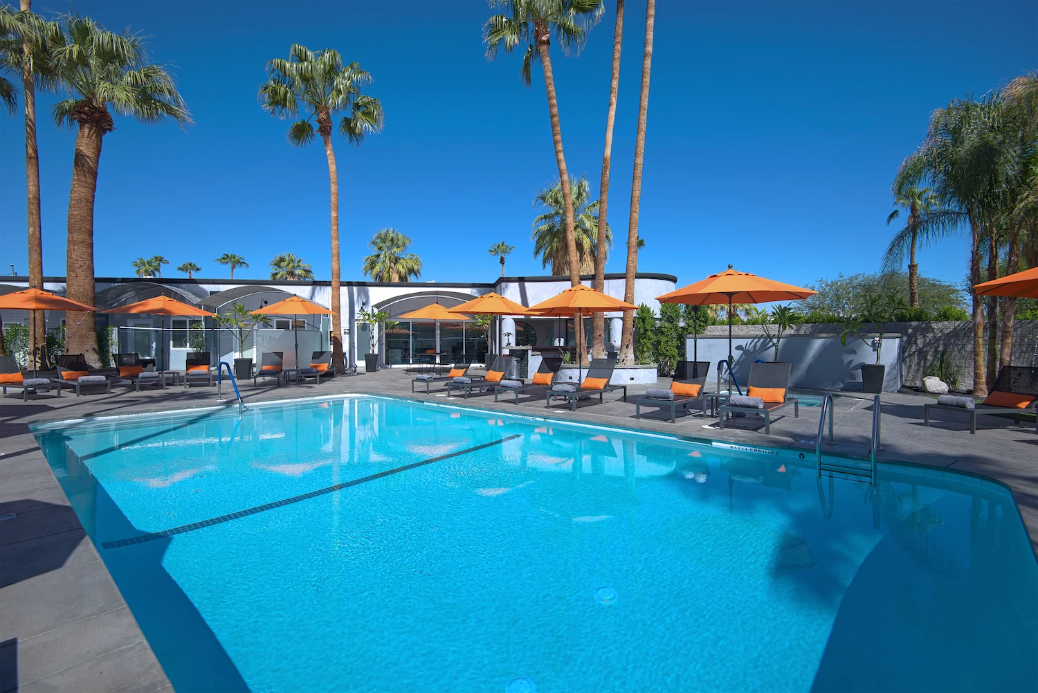 The large pool surrounded by orange lounge chairs and umbrellas on a clear day at The Palm Springs Hotel