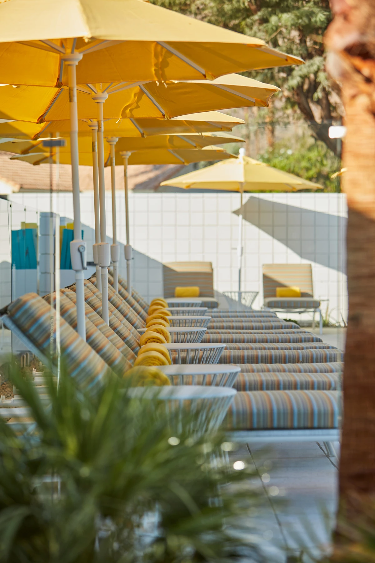 Twin Palms Resort