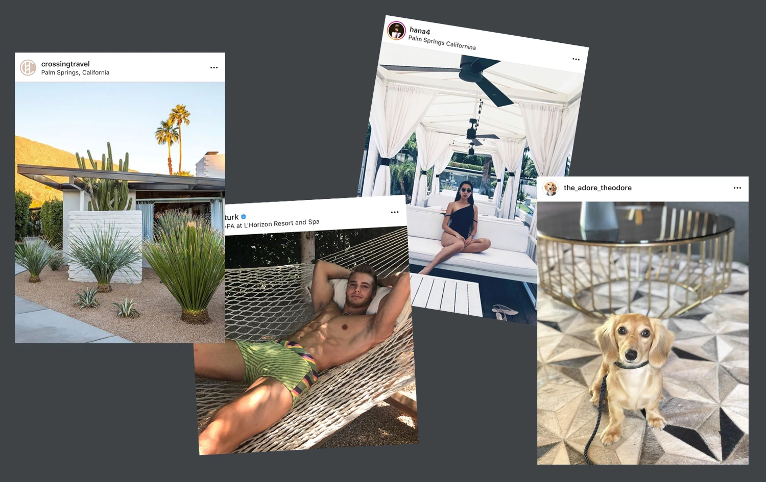 L'Horizon Instagram Posts