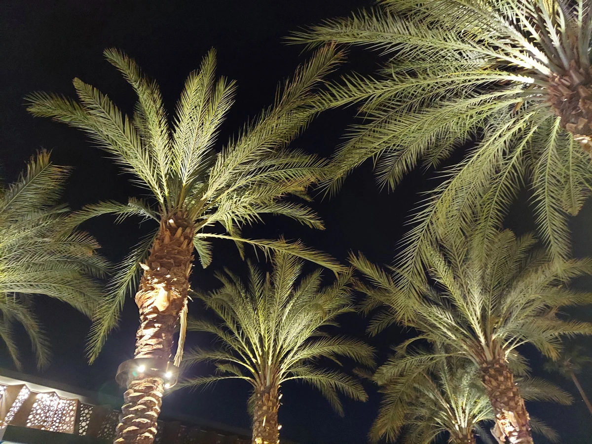 Desert X Entices People for Art Adventure