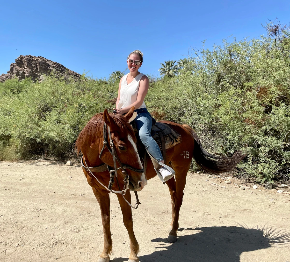 Horsing Around