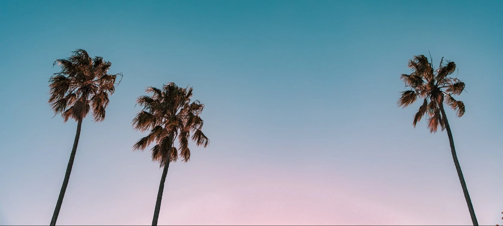 It’s All Happening This February In Palm Springs