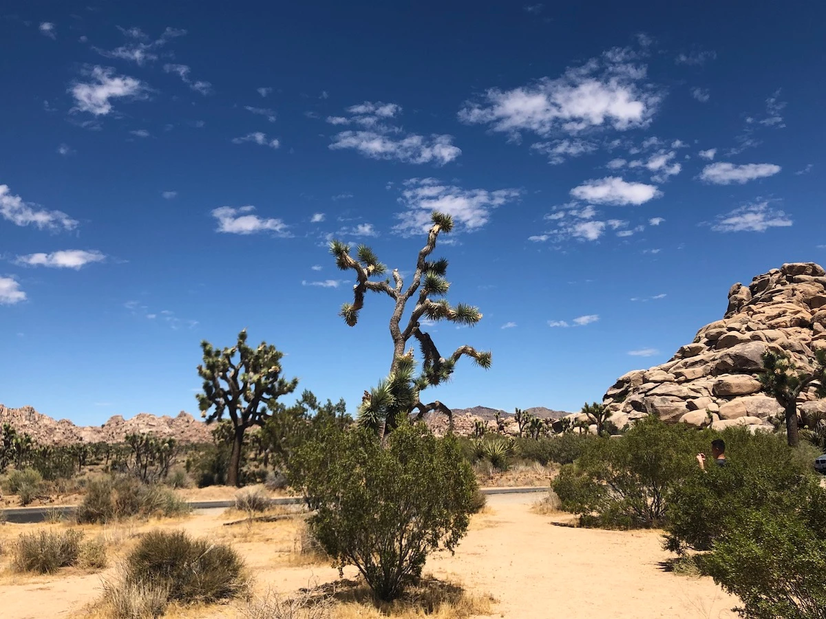 Put These SoCal Day Tripping Destinations On Your Agenda