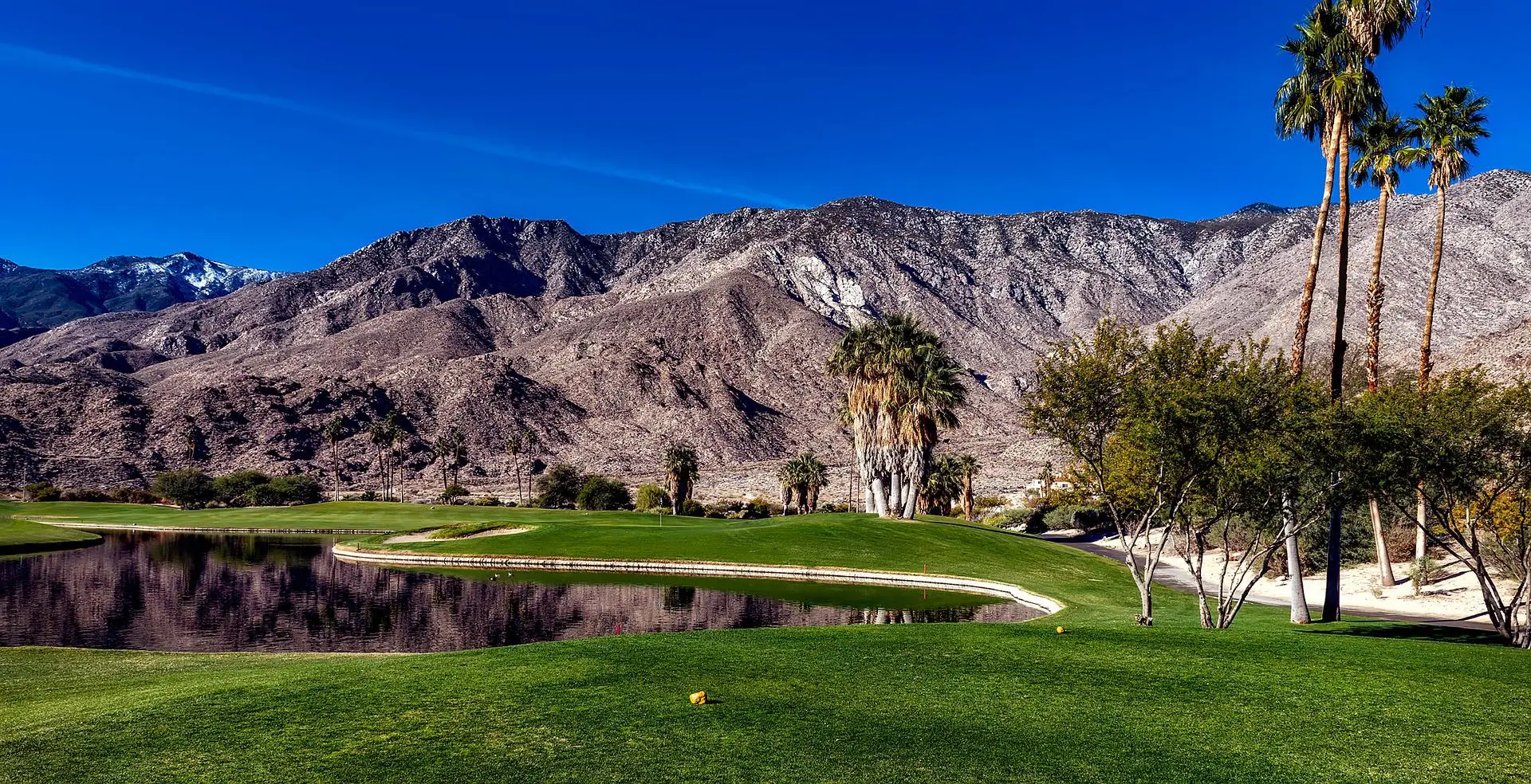 Father’s Day Fun In Palm Springs