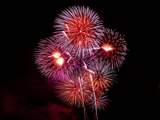 Born on the 4th of July