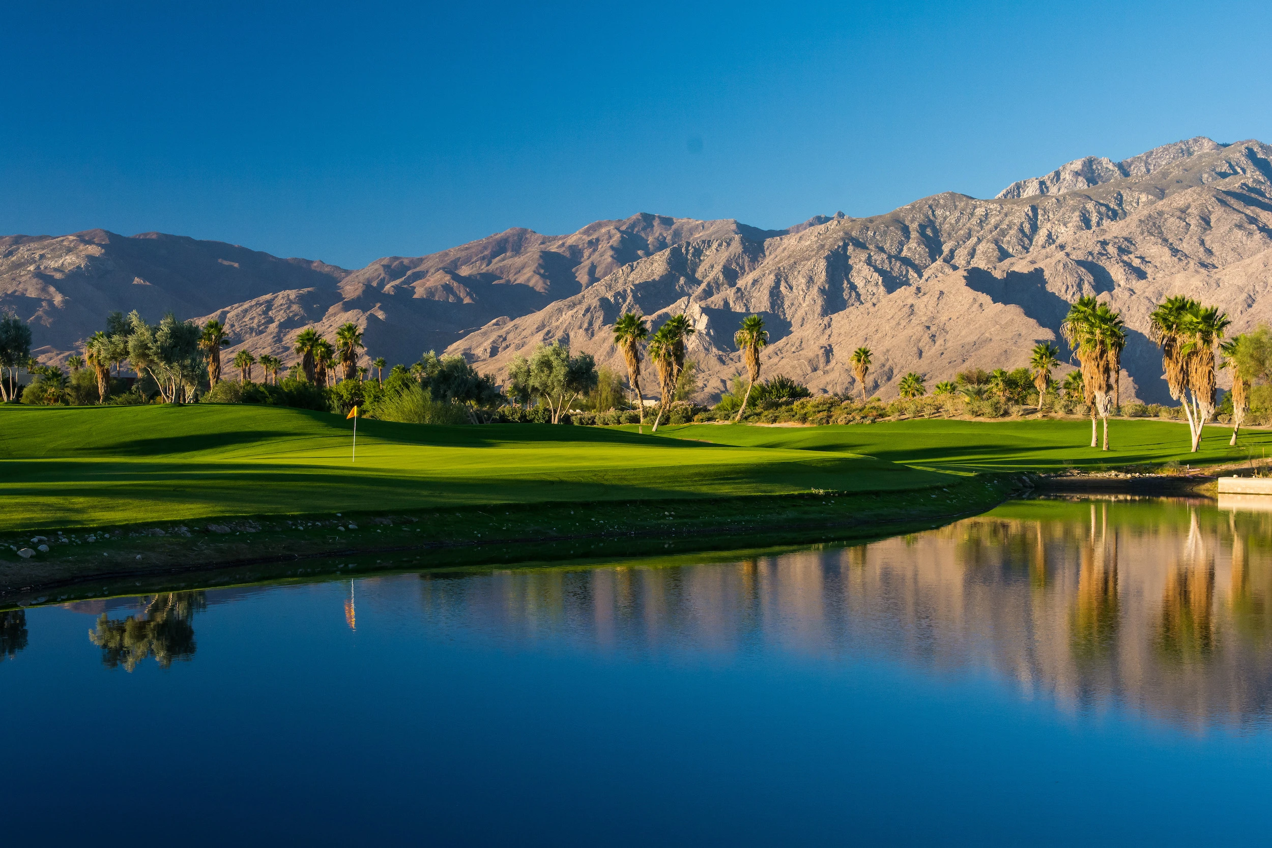 Things We Don’t Do In The Shadows: October In Palm Springs