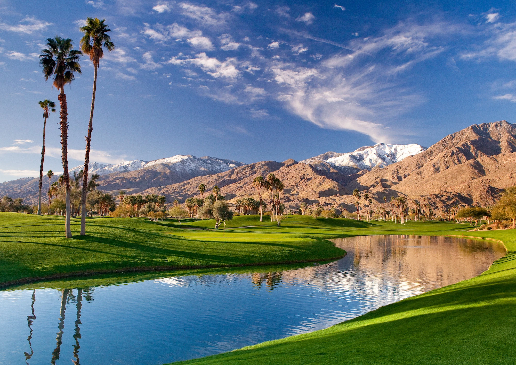 Palm Springs Is Always Swinging
