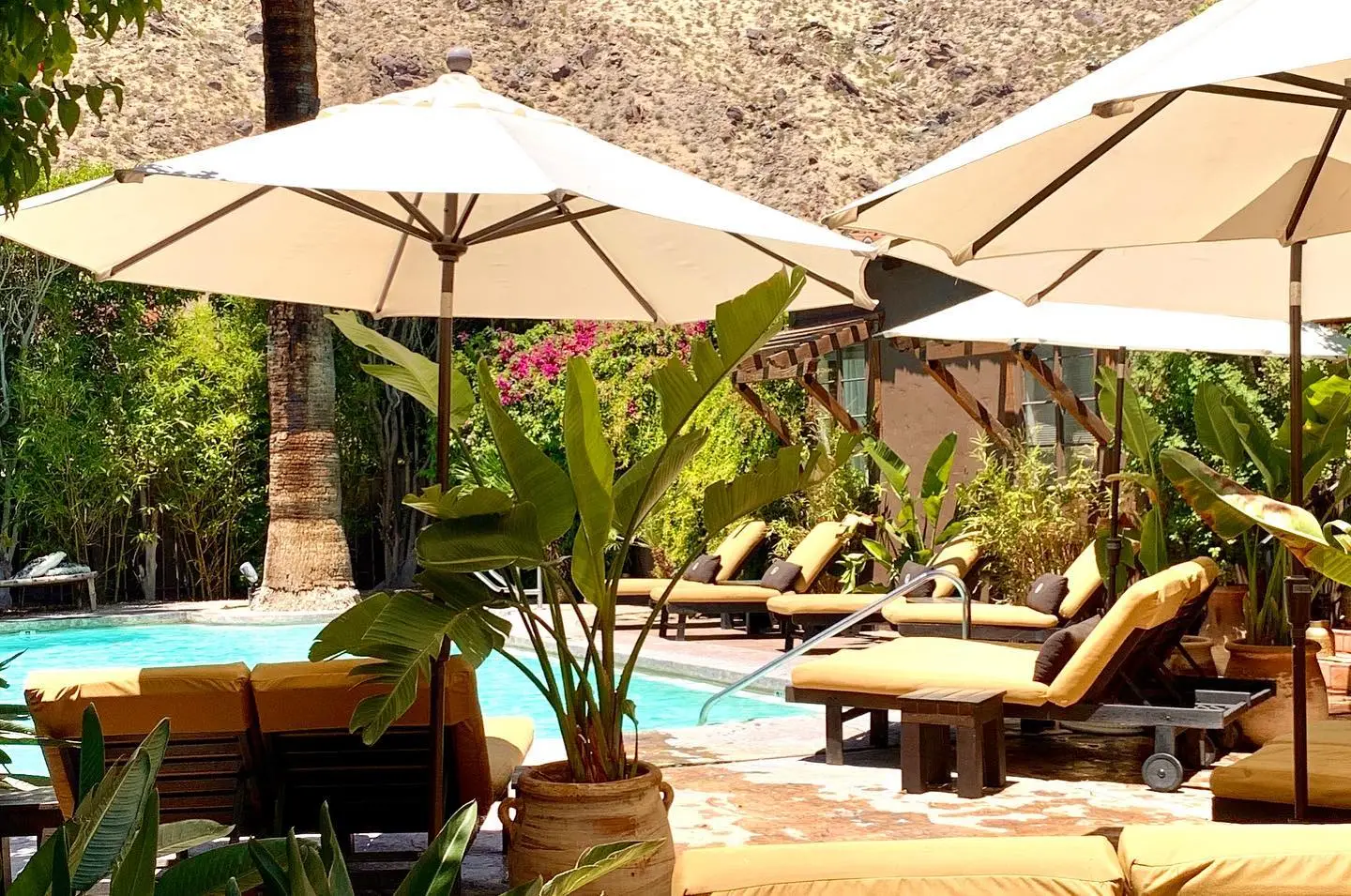 Why Palm Springs Is Perfect For The Solo LGBTQ+ Traveler