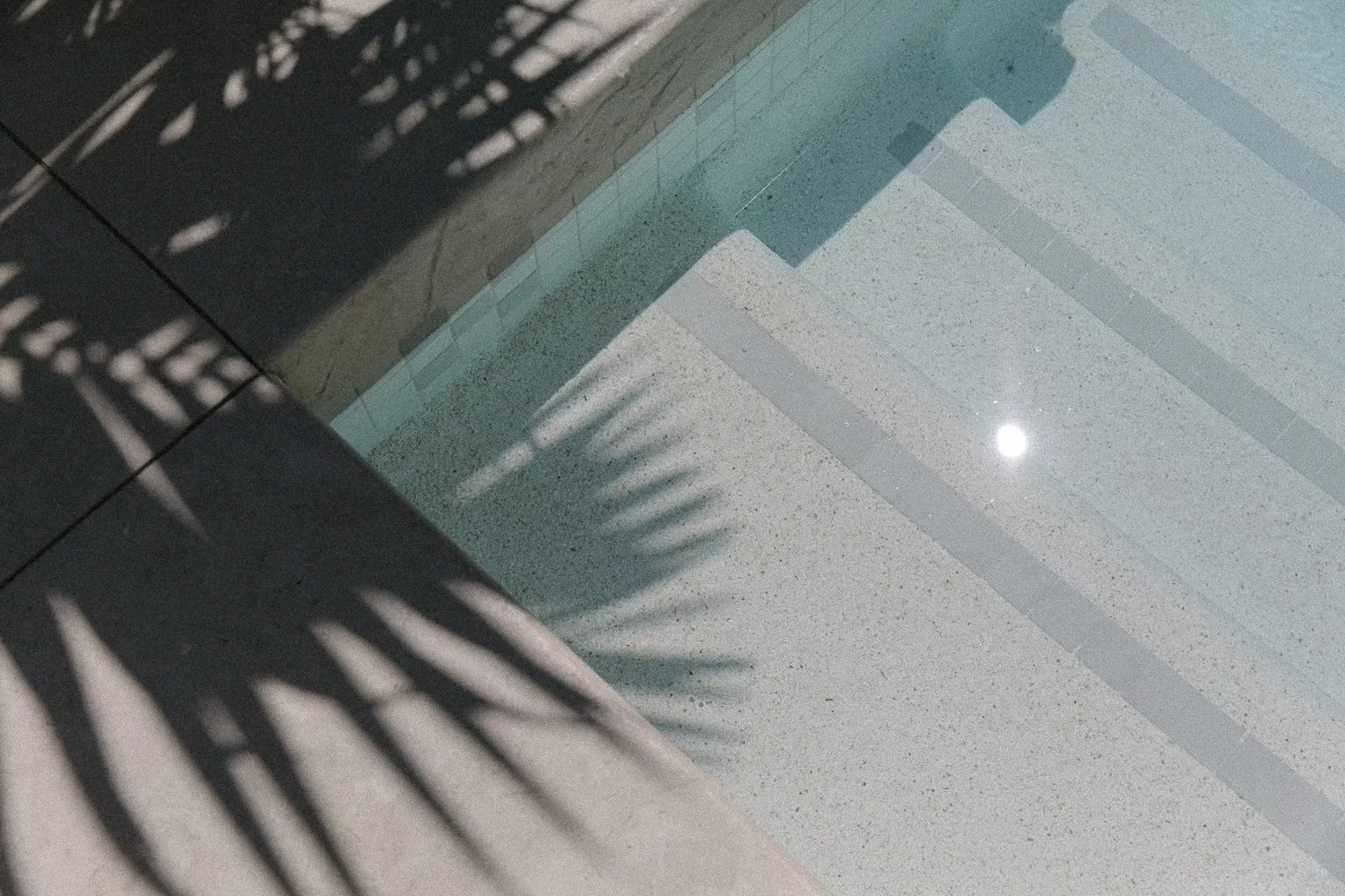 Palm fronds are reflected in the pool at Yara Hotel in Palm Springs, California