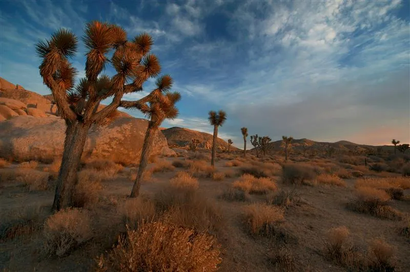 Road Tripping: Las Vegas To Palm Springs