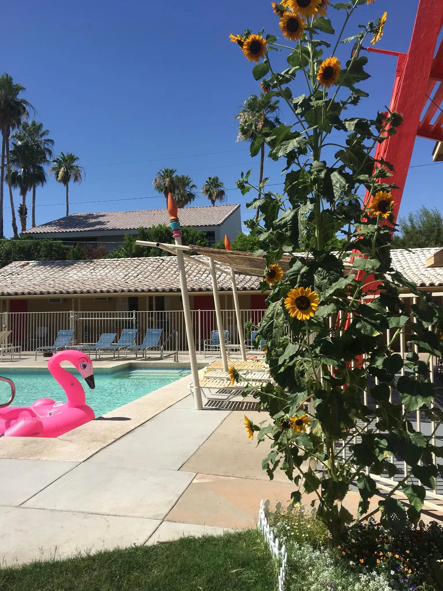 Aloha Hotel