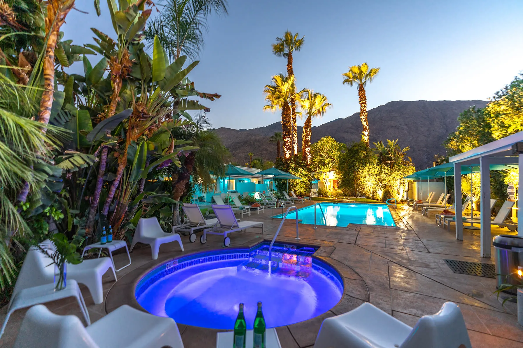 BelleVue Oasis