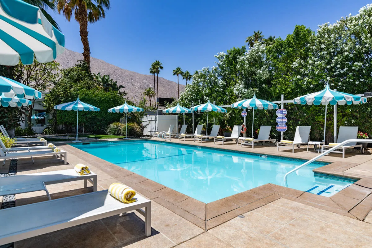 BelleVue Oasis